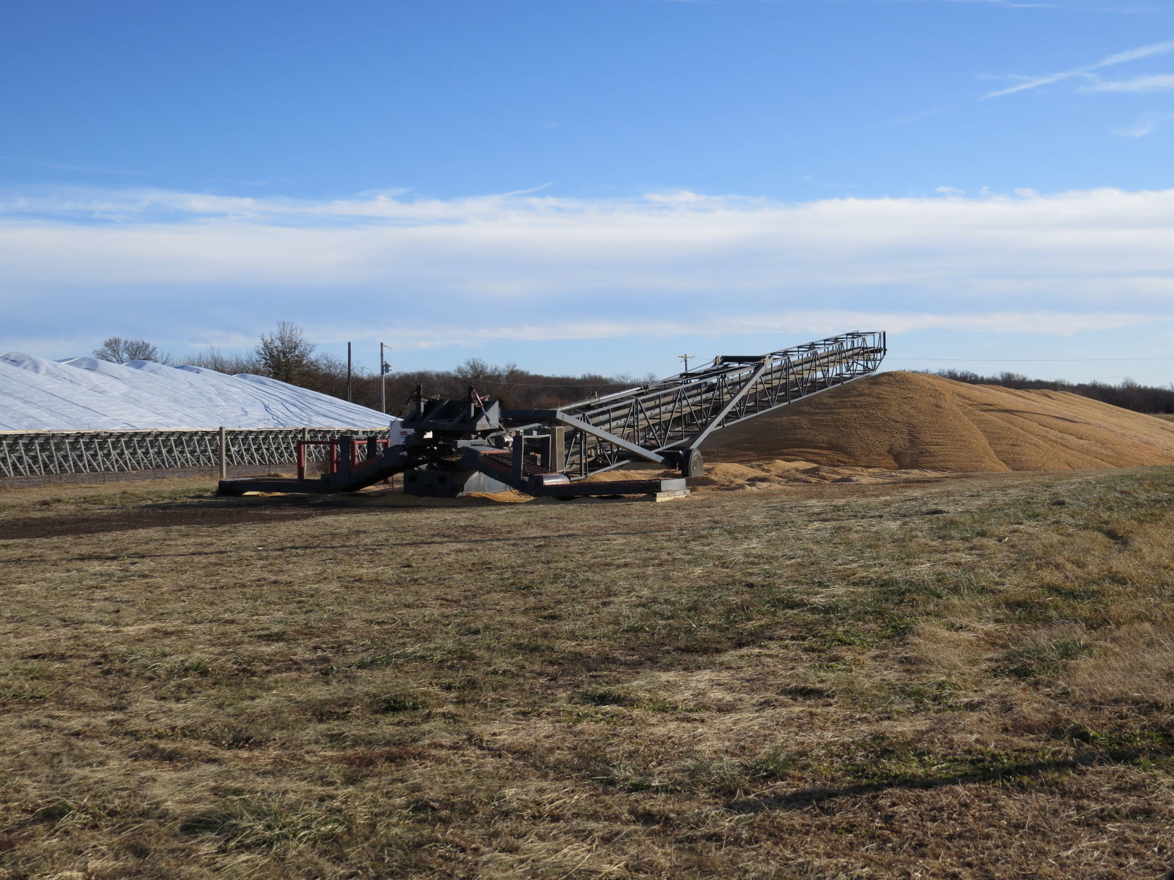 Harvest time